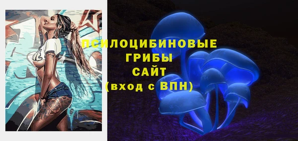 гидропоника Верхнеуральск