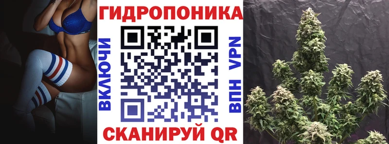 купить   Набережные Челны  Каннабис OG Kush 